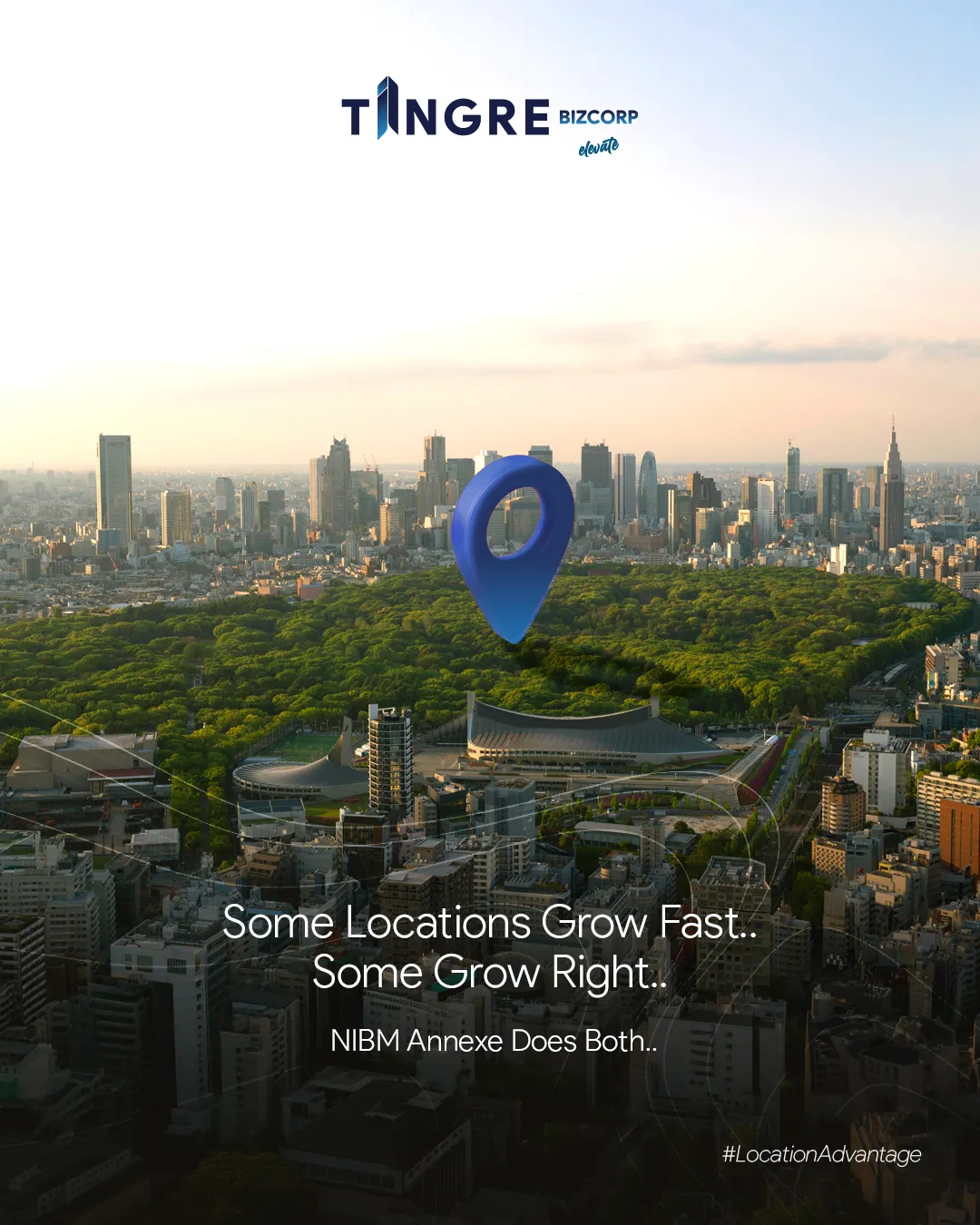 Tingre Bizcorp creative 3